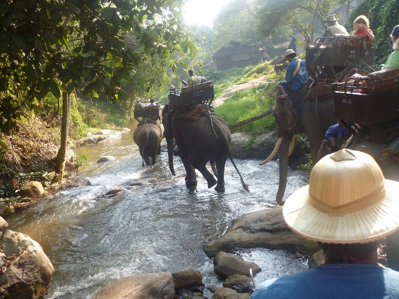 Day 9 - Chiang Mai - Elephant Camp 024